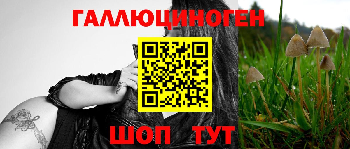 Псилоцибиновые грибы GOLDEN TEACHER  Вход с VPN  где купить наркоту  Лабинск 